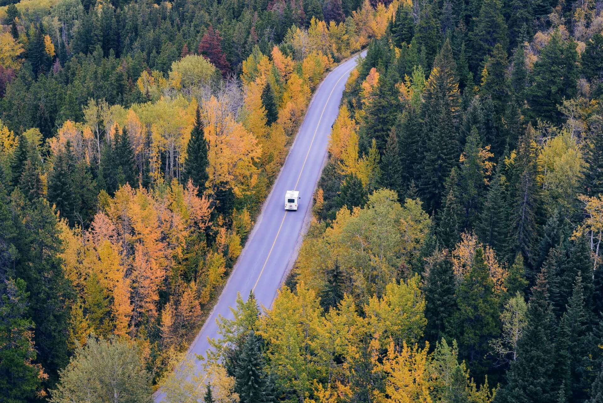 car on freeway in forest