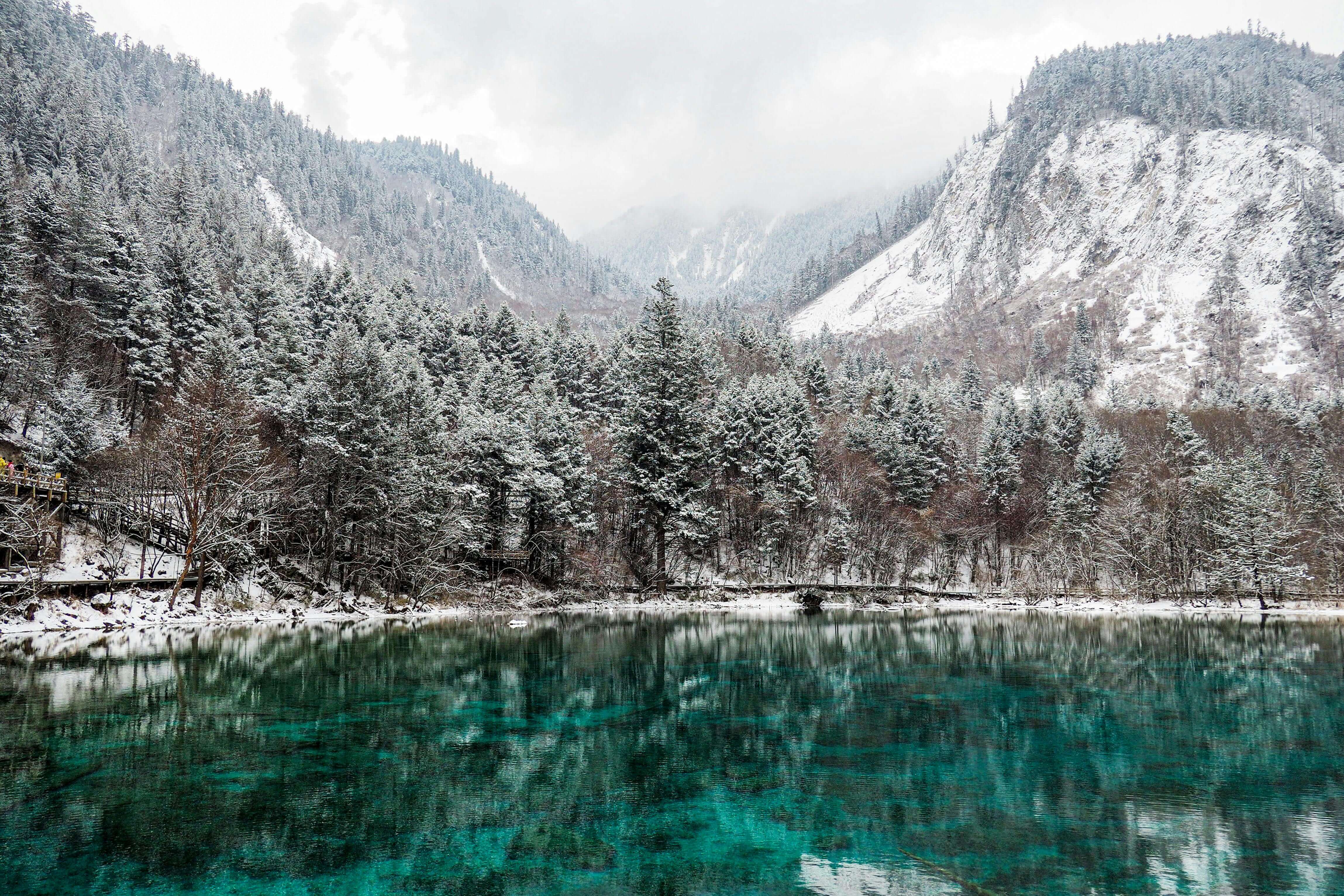 How to Stop a Cold Store When you Feel it Coming On - Bedrock Balm