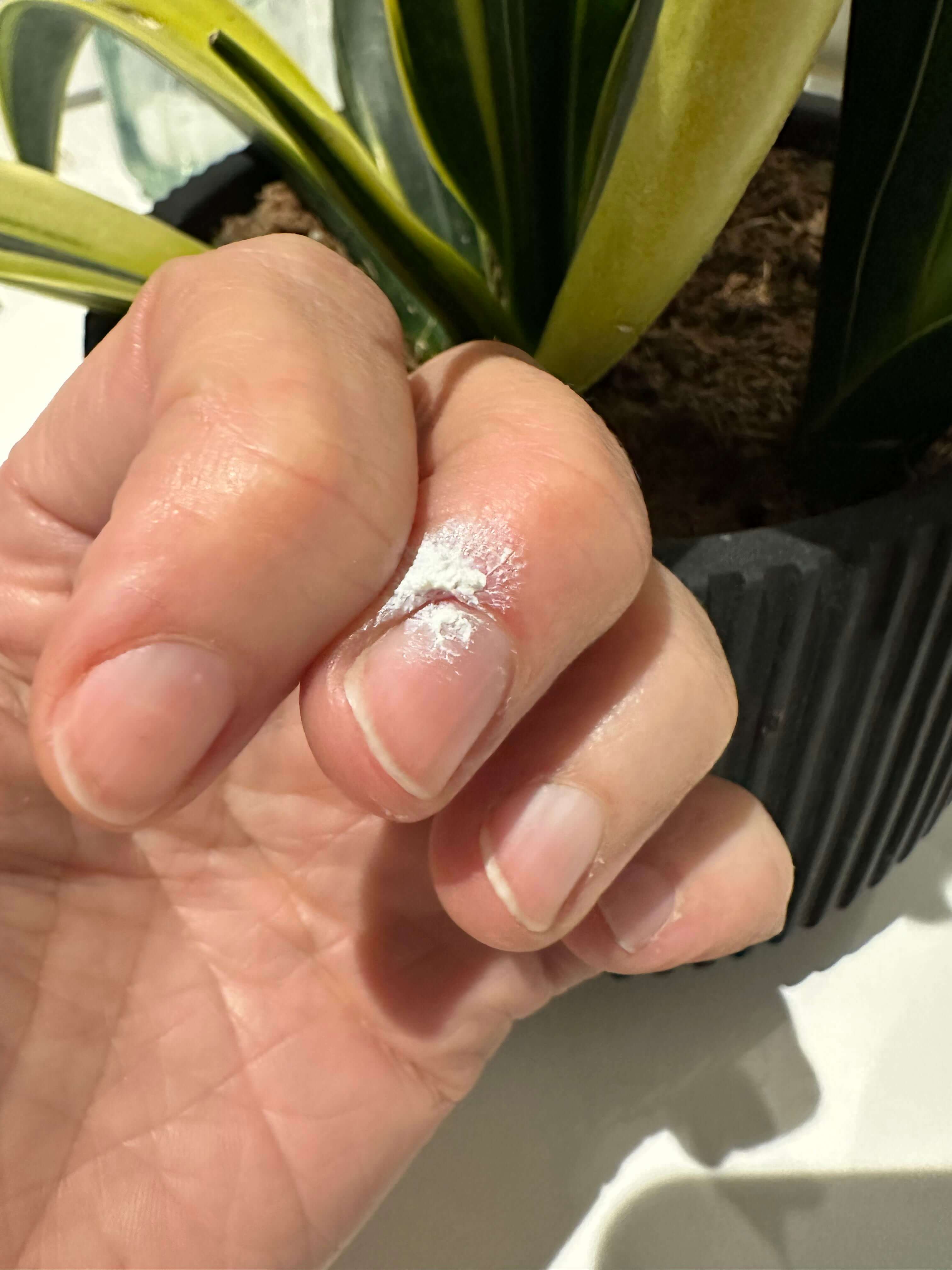 How to Avoid Hangnails - Bedrock Balm