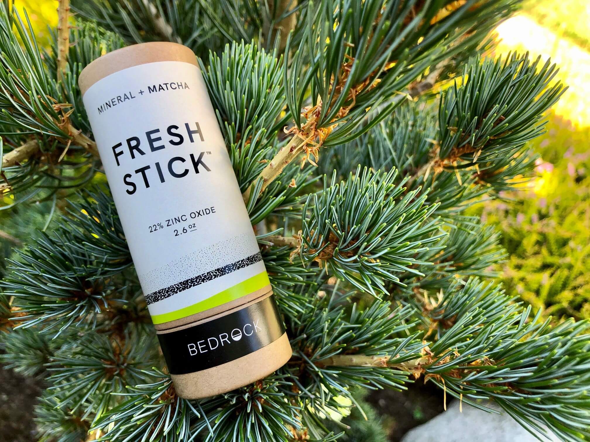 best deodorant for women natural freshstick