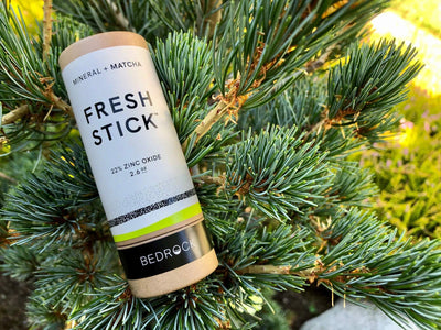 Best Natural Deodorant for Women | Maria's Freshstick Review