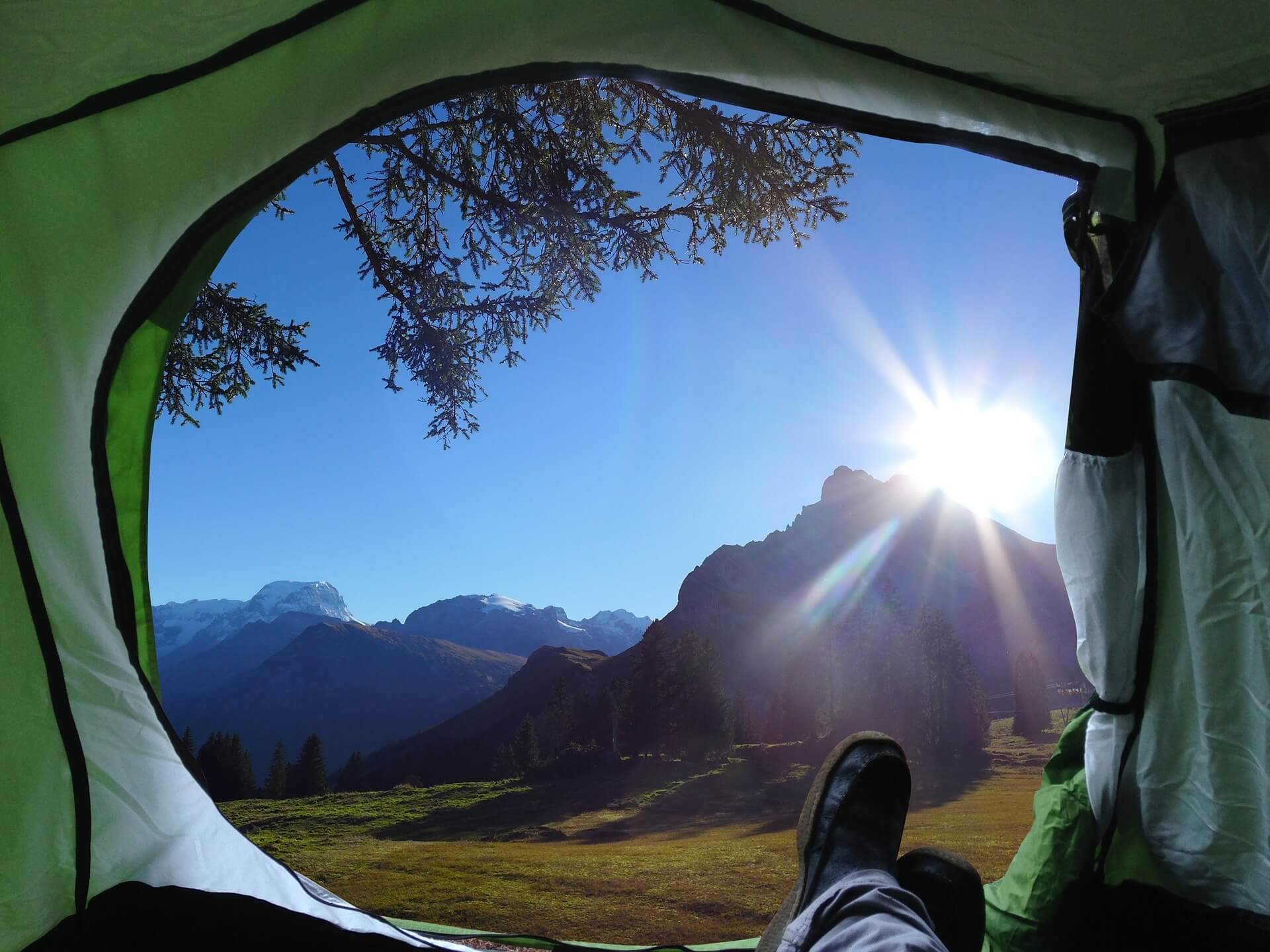 looking out of a tent with blue sky and tree