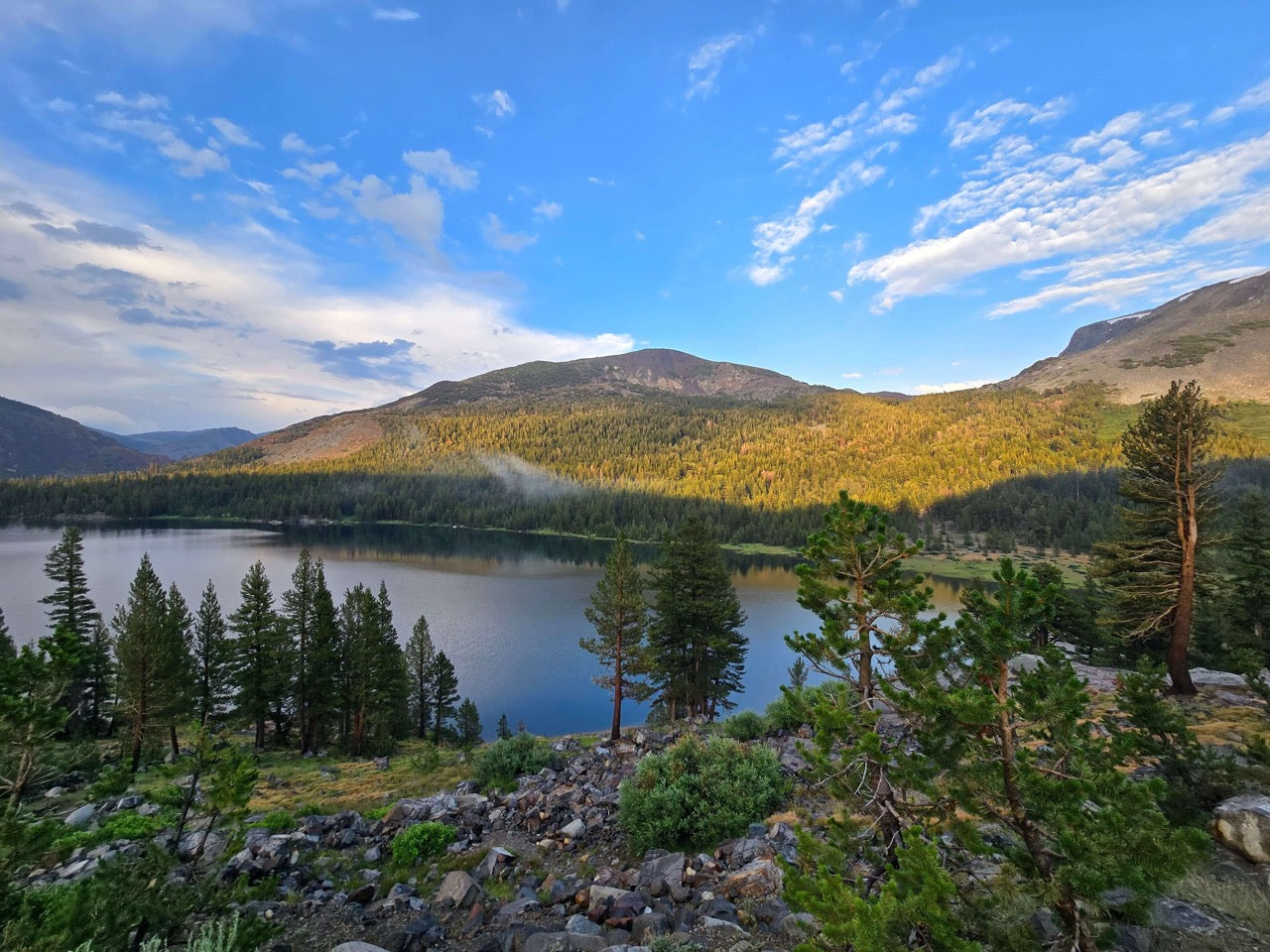 mountains and trees view