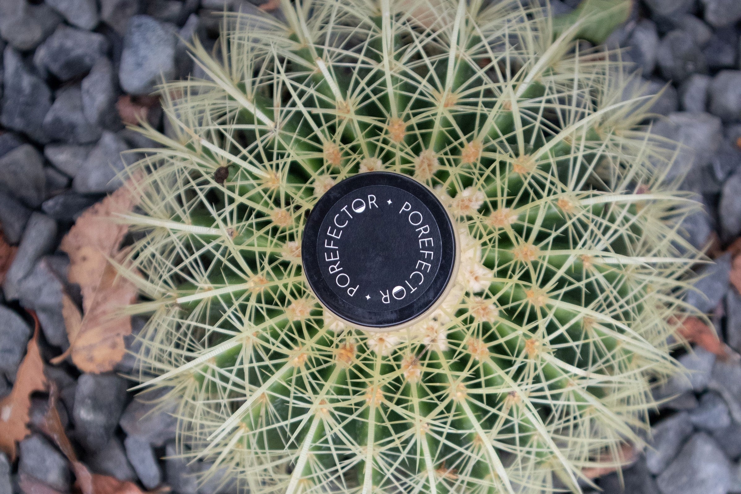 zinc oxide cream for acne porefector 