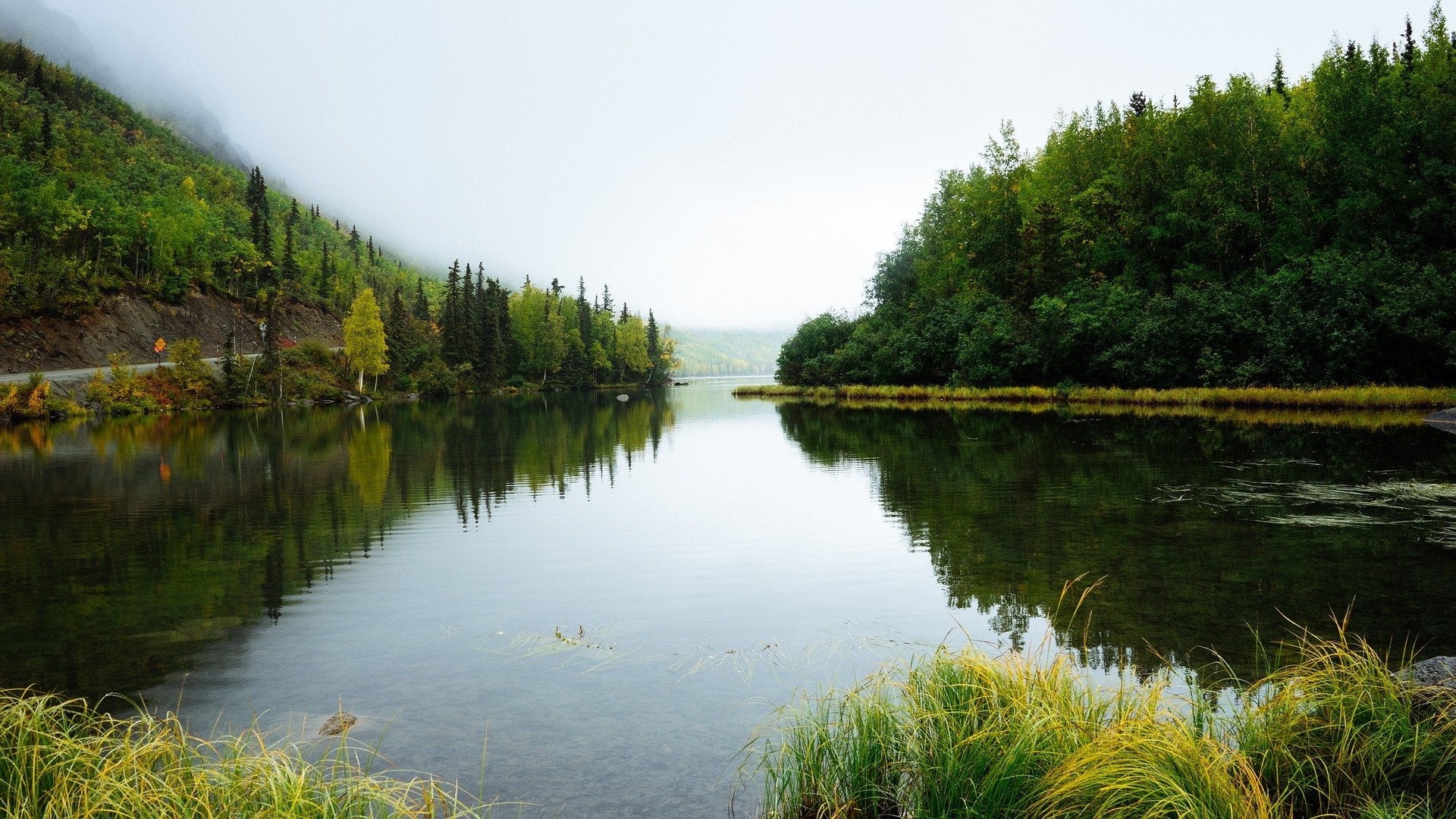 serene nature lake and trees